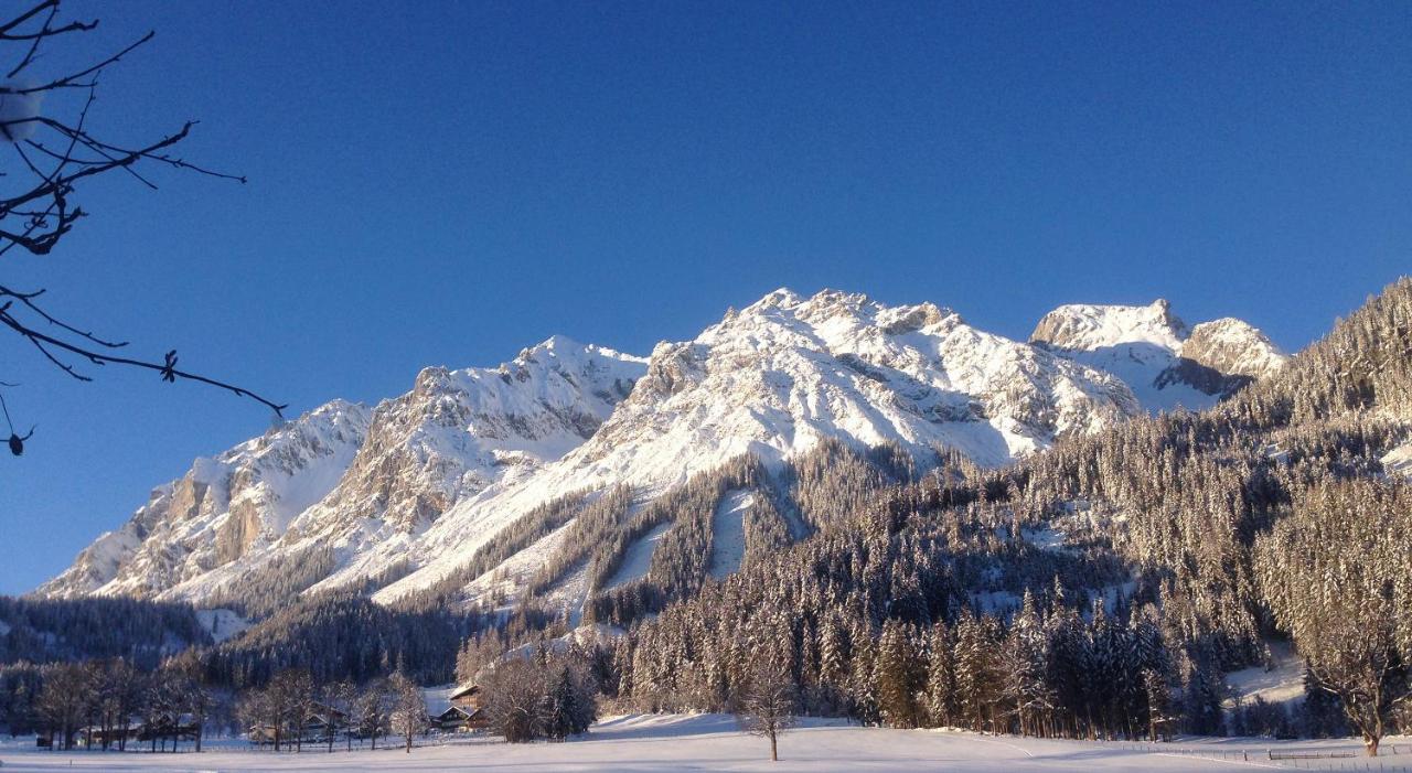 Bio-bauernhof Simonbauer Bauernhof Ramsau am Dachstein