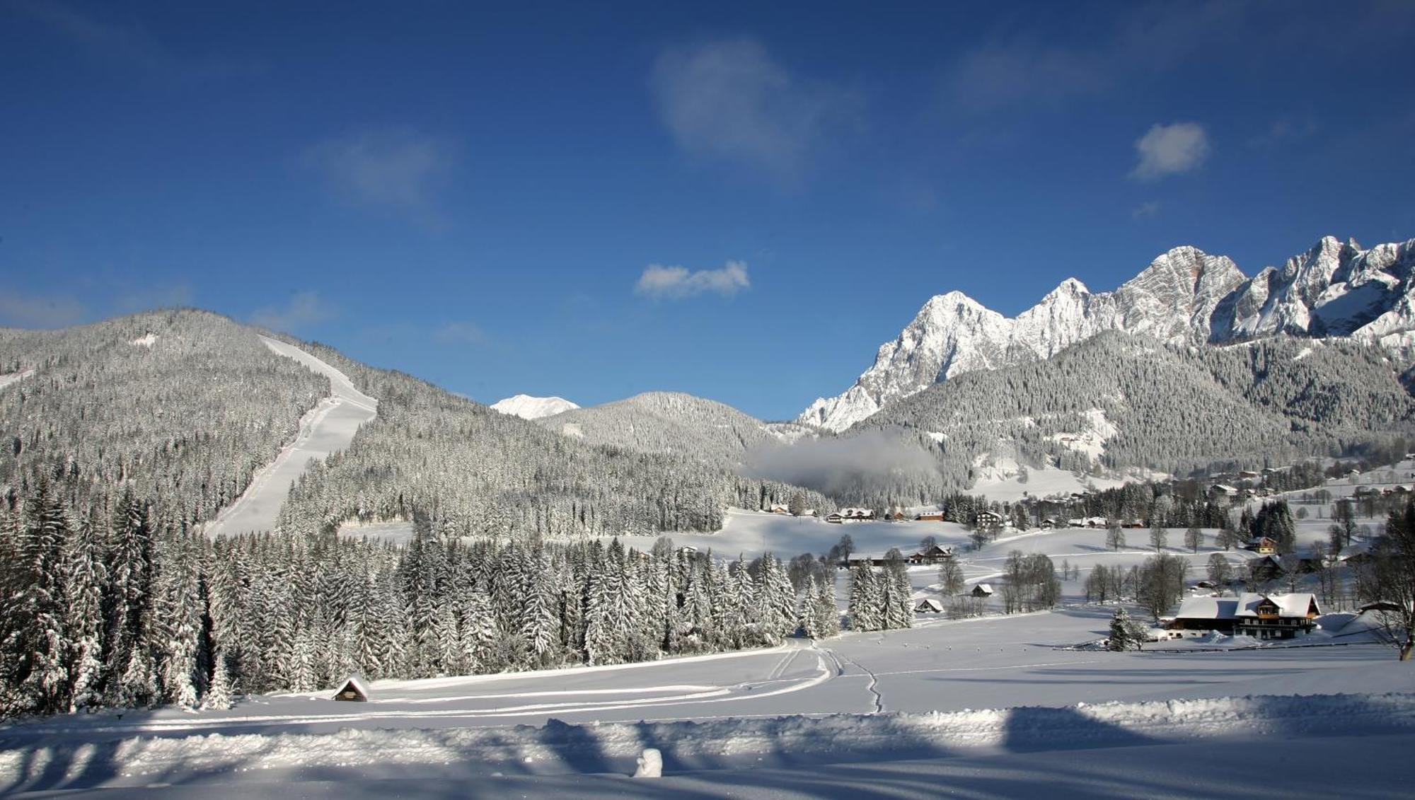 Bauernhof Bio-bauernhof Simonbauer *