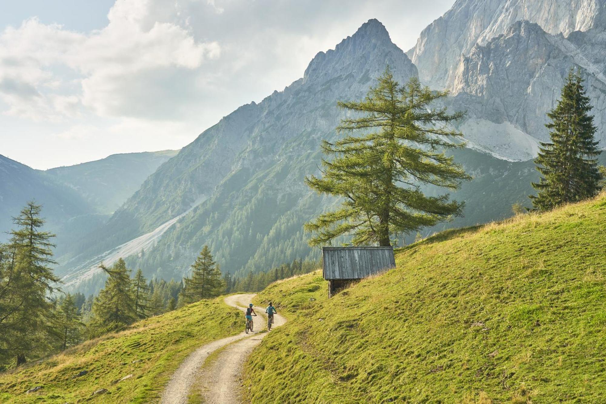 Bio-bauernhof Simonbauer * Ramsau am Dachstein